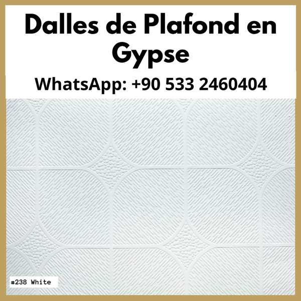 Dalles De Plafond En Gypse